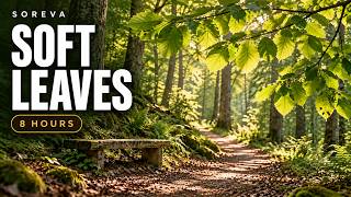 Gentle Wind in the Leaves 🌿 8 Hours of Soft Rustling for Sleep & Relaxation screenshot 5
