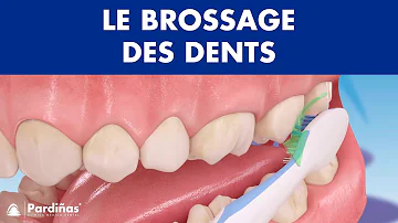 Où mettre les brosses à dent