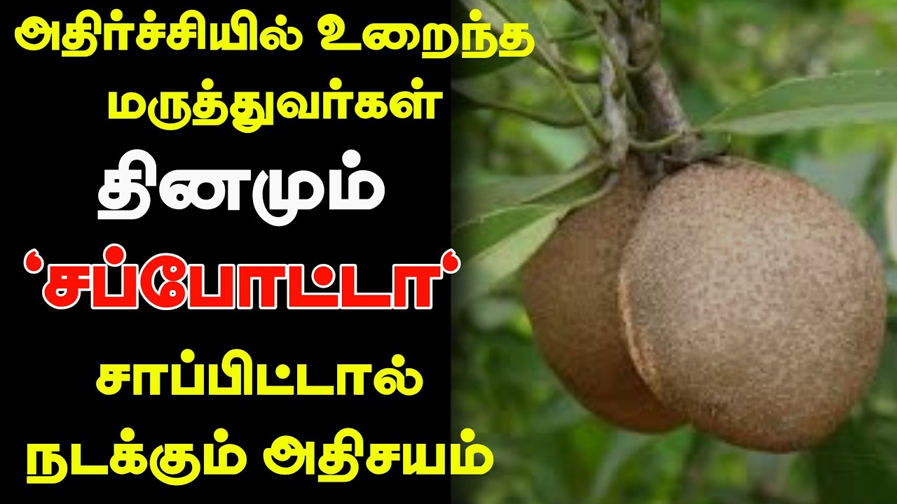 சப்போட்டா சாப்பிடுவதால் ஏற்படும் நன்மைகள் ! Health benefits of sapota in tamil ! Health tip !