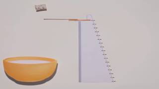 The Mini Spooner Games : Battle of the Biscuits