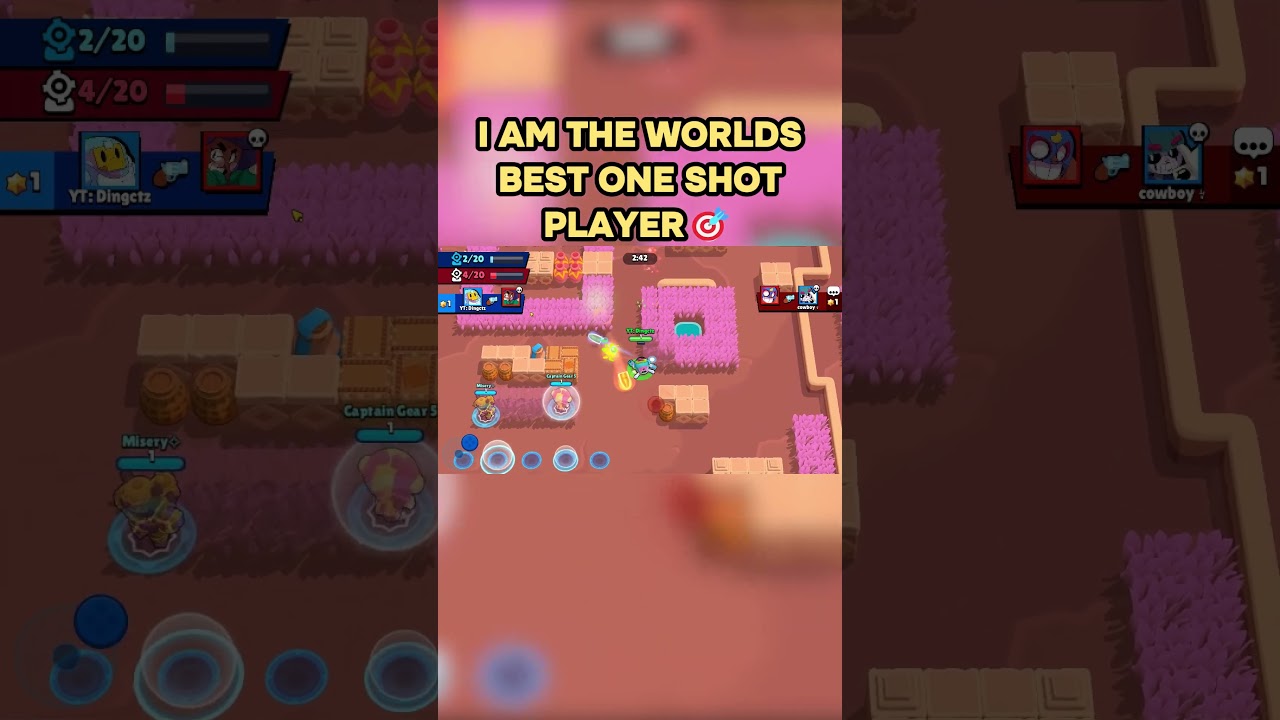 I Am The Worlds Best One Shot Player 🎯