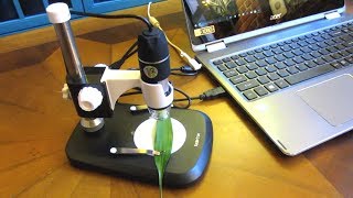 Koolertron USB Digital Microscope | How to Use Microscope