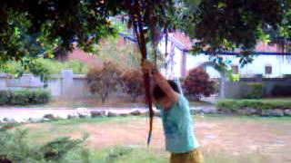 子銓用榕樹氣根SWING，小蚊子