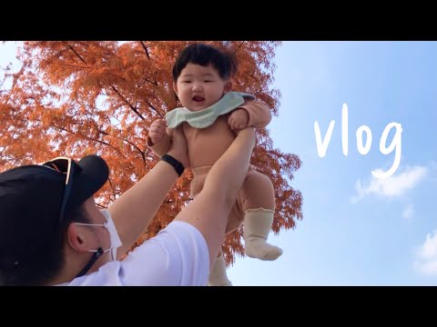 [육아vlog] 8개월아기일상 | 서울식물원 | 단풍놀이 | 사경진단 | 바나나티딩러스크