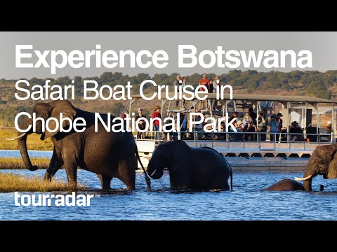 वीडियो: चोबे नेशनल पार्क: पूरी गाइड