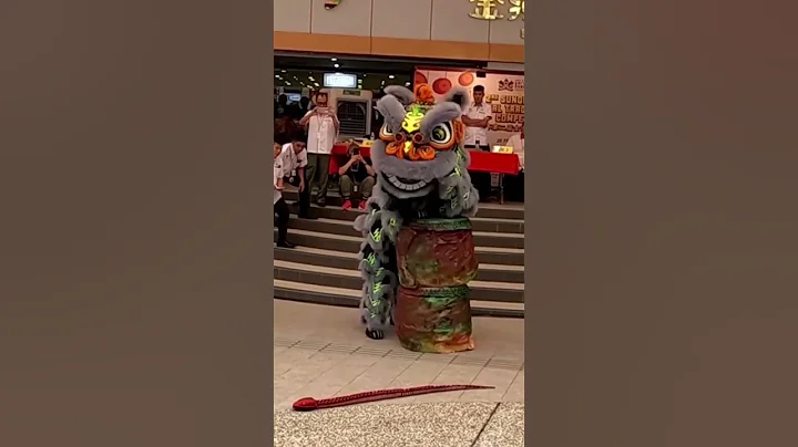 Lion Dance Competition 舞狮比赛 #舞獅 #醒獅 #liondance #tariansinga #barongsai #múalân #lânsưrồng