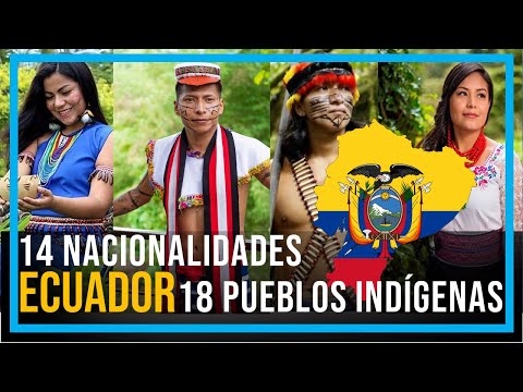 PUEBLOS Y NACIONALIDADES INDÍGENAS DEL ECUADOR