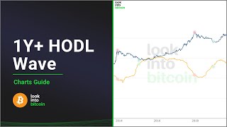 Bitcoin 1Y+ HODL Wave