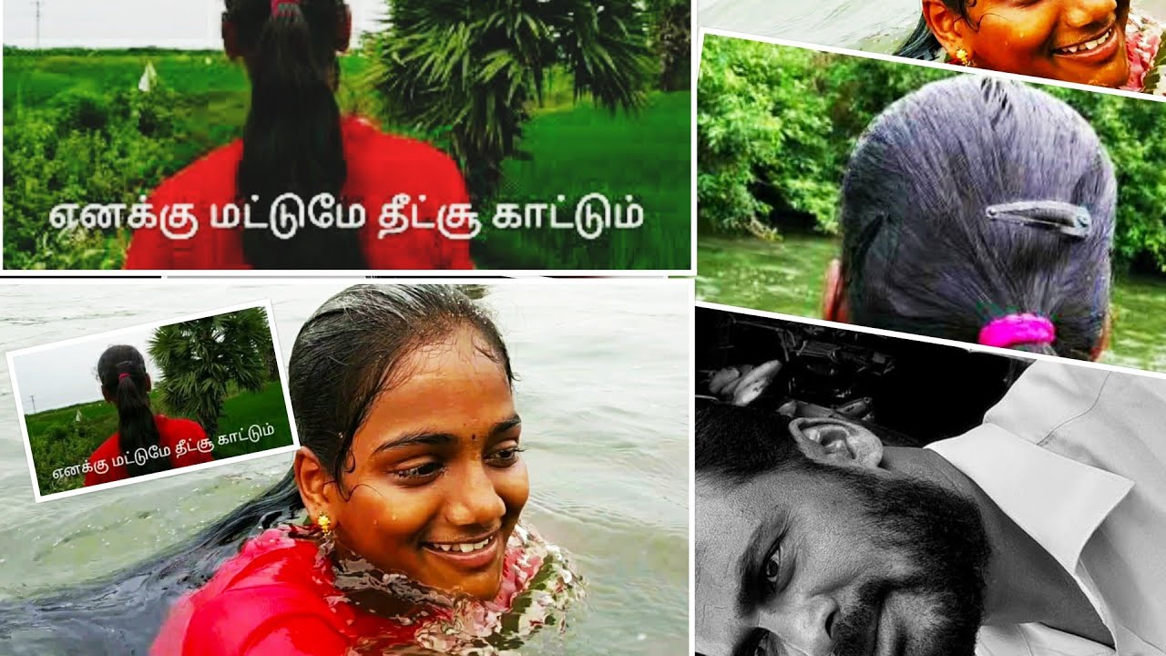 அவள் அடர்ந்த பெருங்காடு! மாமன் மச்சான்களோடு ஆற்றில் அயிரை மீன் பிடித்தல் FISH CATCHING IN