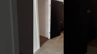 2 Bedroom Floorplan B14
