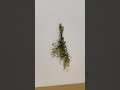 ねんねラジオ質問会1