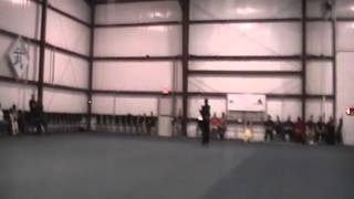 Georges Double Chain Whips Li Pei Yuns Tournament - 82512