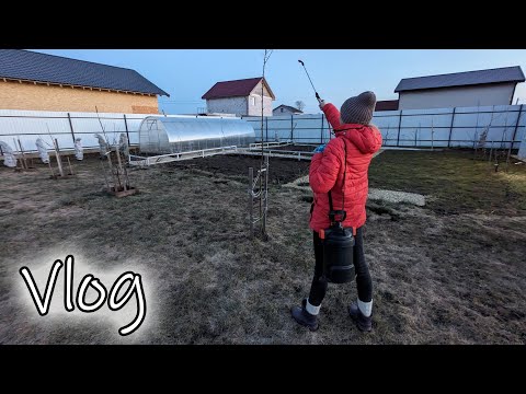 # 331. Весенняя обработка деревьев и кустов. Чем обрабатываем, как разводим. Загородная жизнь с нуля
