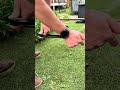 Effortless Yard Work with VEVOR Lawn Sweeper #lawnsweeper #yardwork #summerwins