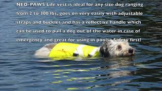 Life vests and jackets for large dogs, small dogs all sizes by
neo-paws™