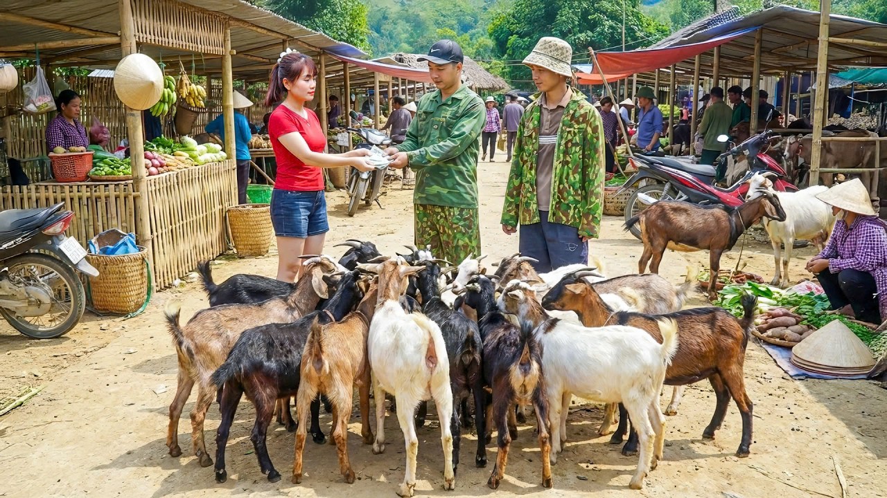 Timelapse - 1 Year Raising Goats → Huge Selling Day | Bamboo Supports Fallen Sugarcane