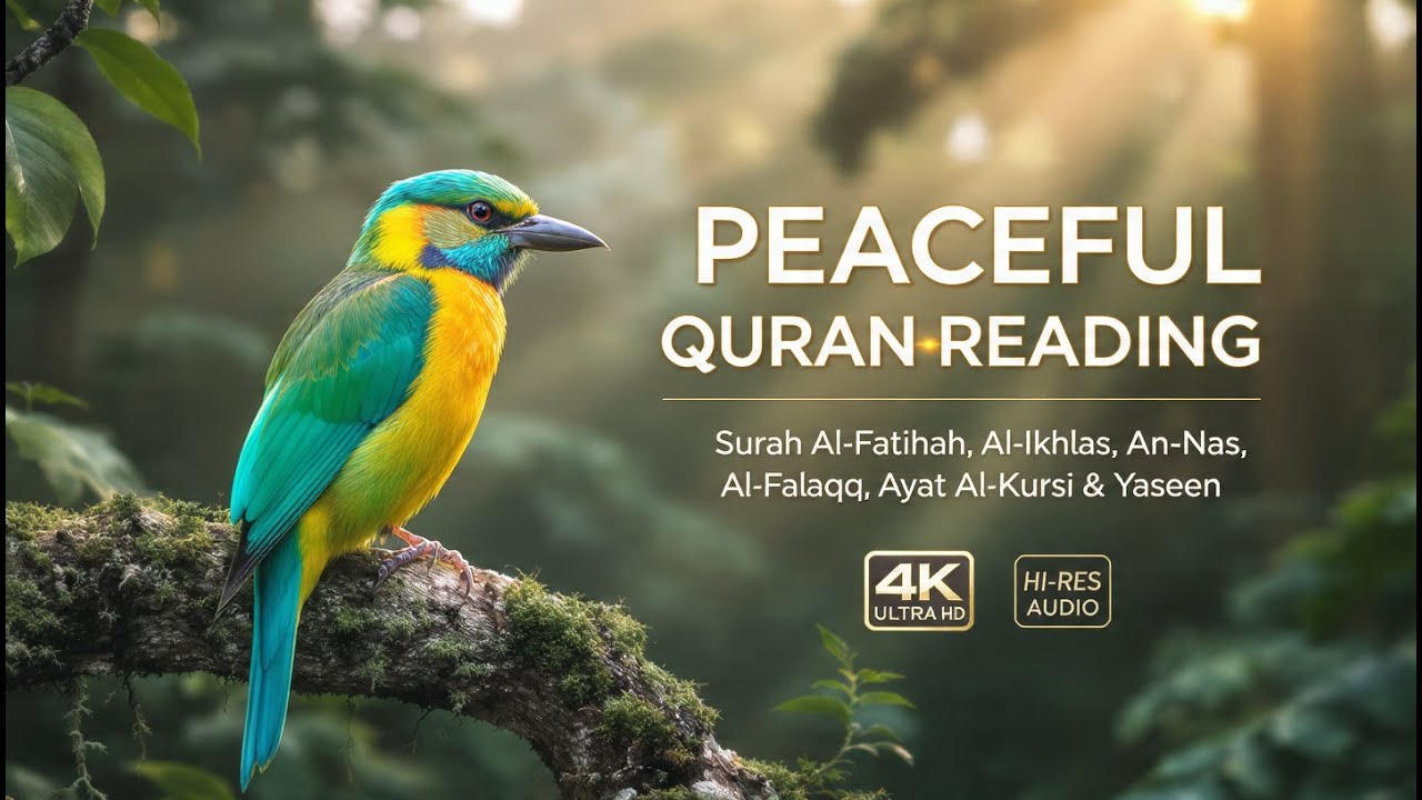 MEDITATIVE 4K QURAN  SURAH FATIHAH IKHLAS NAS FALAQ KURSI YASEEN FOR PEACE AND SPIRITUAL PROTECTION