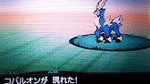 ポケモンbw2 コバルオン テラキオン ビリジオン戦 Youtube