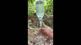 The guys shows SURVIVAL skills save Soaps in The forest #camping #bushcraft #outdoors #survival