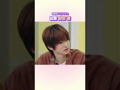 이렇게 잘생긴 앵그리버드 닮은 꼴은 처음 봐요… 솔직히 이건 기만이죠ㅠㅠ