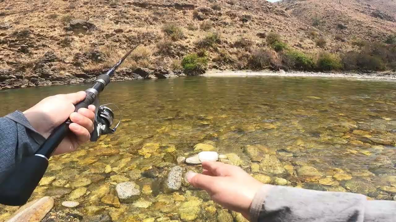 Fishing trout in Paro river| Best season for Fishing|