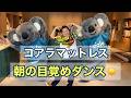 朝の目覚めダンス 振り付け｜コアラマットレス