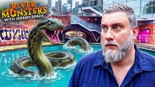 Download Lagu The Anaconda of Manchester | Jeremy Spade MP3