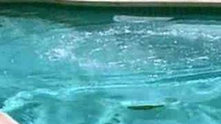 Dry Ice Bomb Underwater