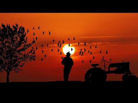 Pacha Man - So sweet feat. Dreea (prod. by Style da Kid)