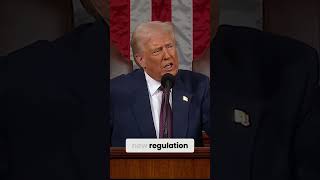 Celebrity Ending Unnecessary Regulations: A New Economic Strategy Wealth