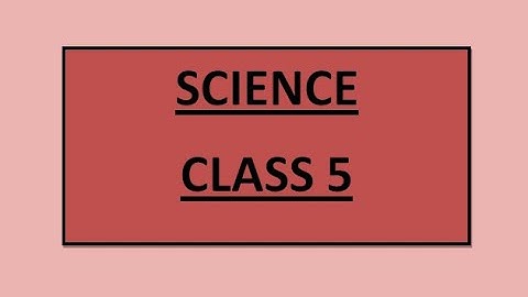 CLASS 5, CHAPTER#1, THE BRAIN AND THE NERVES, SHORT QUESTIONS (PART 1)