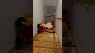 Foxo is Eepy #FursuitFriday