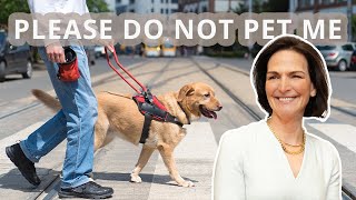 Service Dog Etiquette
