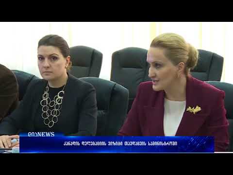 კანადის დელეგაციის ვიზიტი თავდაცვის სამინისტროში 25.04.2018