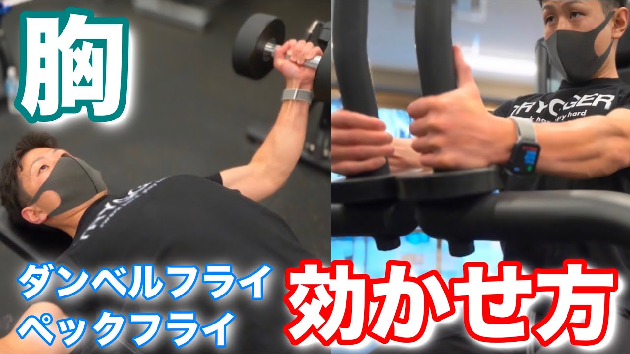 筋トレ初心者】ダンベルフライ、ペックフライのコツ 〜胸トレ〜 - YouTube