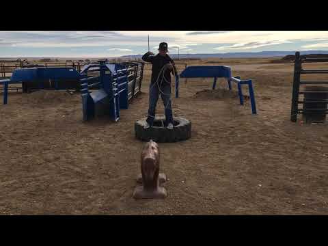 Breakaway Roping Is a Game of angles