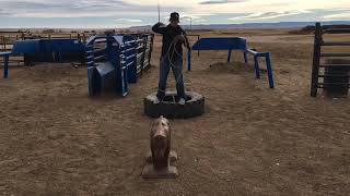 Breakaway Roping Is a Game of angles