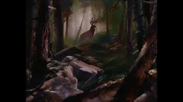 i see fire - animash