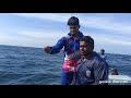 பைபர்படகில் வஞ்சிரமீன் பிடிக்க சென்றோம் கிடைத்தது ஒரு கெளுத்திமீன் /mackeralfish catching  fiberboat