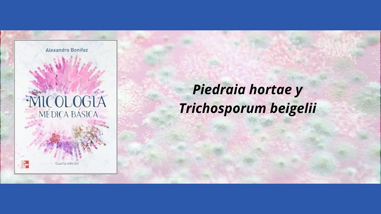 Resumen de Piedraia hortae y Trichosporum beigelii