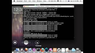 Firefox OS Application Security - Paul Theriault