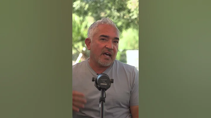 Never put a dog in a crate if you don’t do this before! #cesarmillan #dog #dogtraining