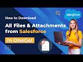 How to Download Bulk Files and Attachments from Salesforce in One Go? | Files Downloader #salesforce
