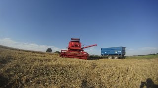 Żniwa 2016 - Jęczmień Prasowanie Talerzowanie