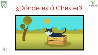 Videos do Gato Chester 