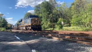 NS 20W NS 9183 Dash9 Leads NS 20W