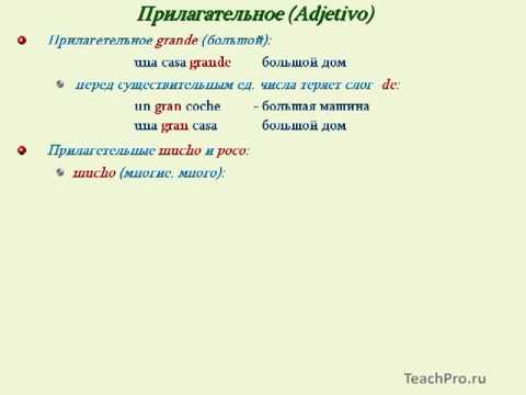 04. Имя прилагательное