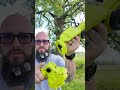 Yard work got a lot faster with this 2-in-1 cordless pole saw and mini chainsaw