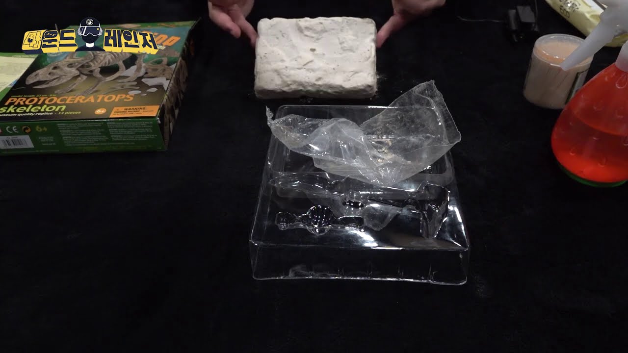 Fossil excavation ASMR｜권도일 성우 ｜화석발굴