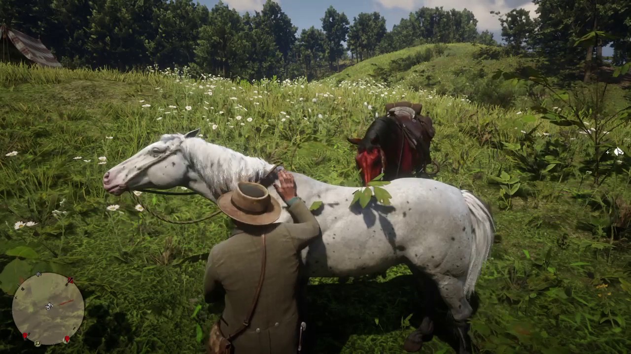 RDR2 Arthur gets a Few Spotted Appaloosa PS4 story update new horse